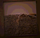 [IMAGE gad8.GIF]
