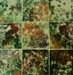 DSCF0027