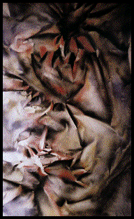 IMAGE Imgs/marisa.marconi05.gif