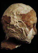 IMAGE Imgs/marisa.marconi09.gif