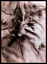 IMAGE Imgs/marisa.marconi10.gif