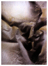 IMAGE Imgs/marisa.marconi14.gif